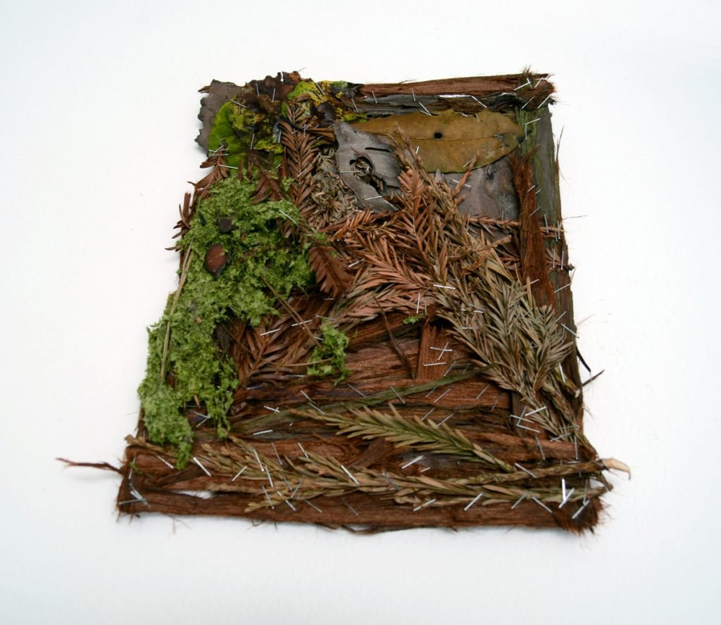 Paper/Work, 6 hours in Blake Gardens. Fine art sculpture by AM Andy Fuller. Andrew Miguel Fuller contemporary assemblage artwork. Found plant material, steel staples.