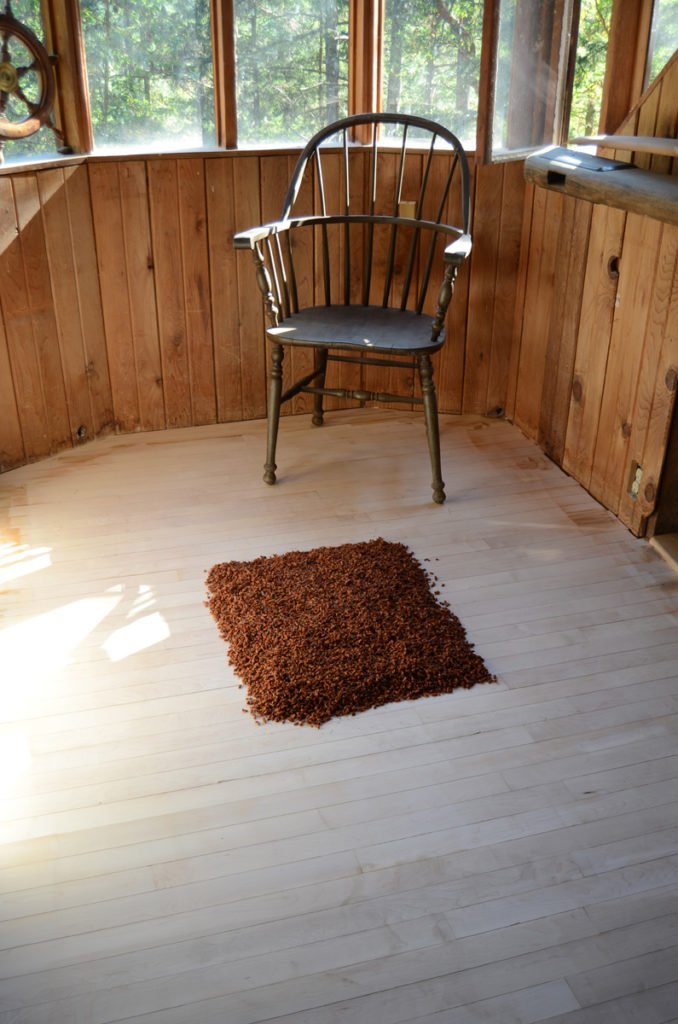 Untitled with chair: an installation of fir seeds and sunlight, made by Andrew Miguel Fuller while in residency at the Alchemy Art Center. Sculptural art work by AM "Andy" Fuller.