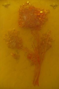Yarrow, for protection and courage artwork by AM Fuller. Negative space resin sculpture by Andrew Miguel Fuller.