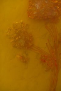 Yarrow, for protection and courage artwork by AM Fuller. Negative space resin sculpture by Andrew Miguel Fuller.