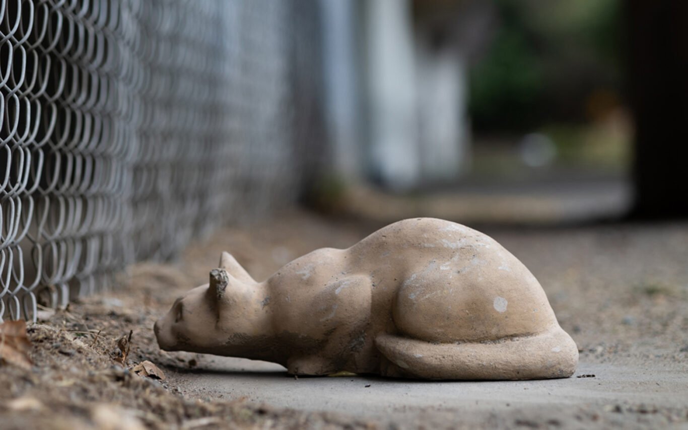 One Hundred Stone Cat Project. Public art sculpture by AM Fuller. Concrete garden cats by Andrew Miguel Fuller.